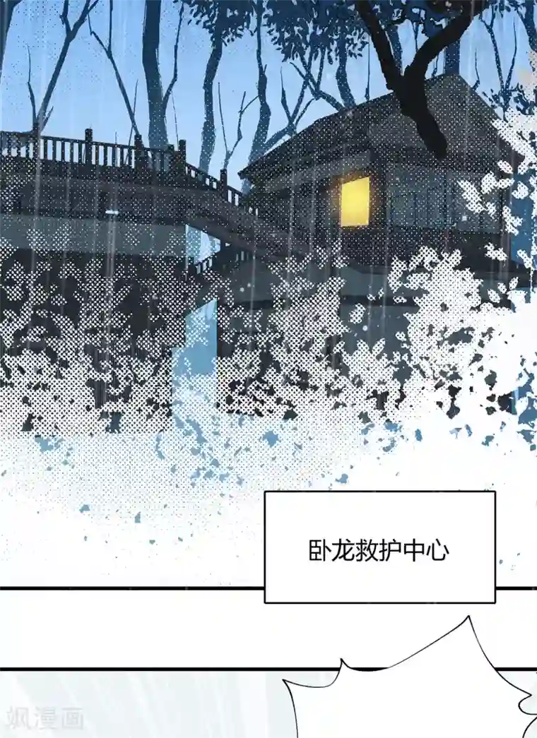 你栖息在我心上第2话 资深大夫？