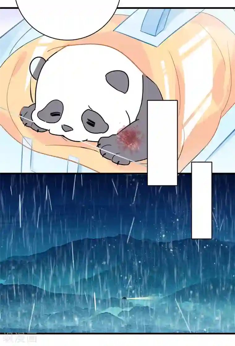 你栖息在我心上第2话 资深大夫？