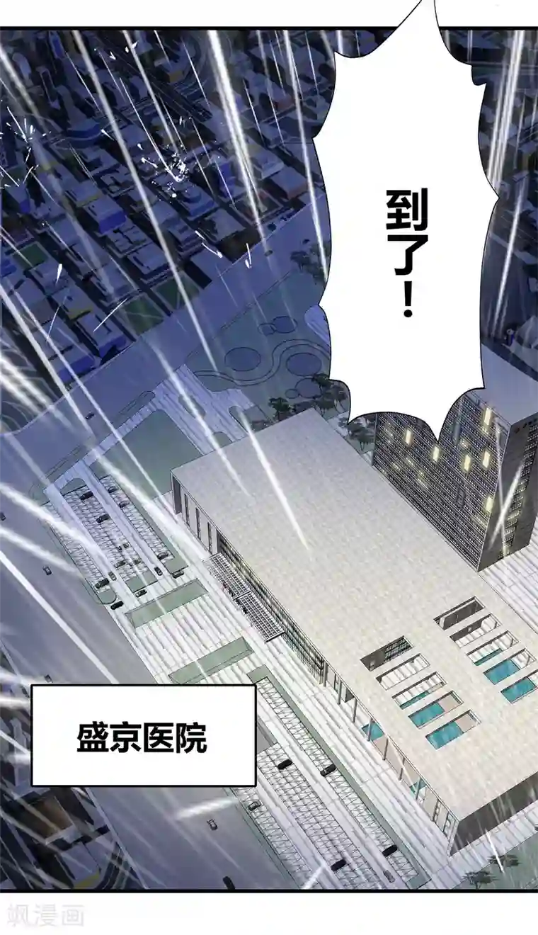 你栖息在我心上第2话 资深大夫？