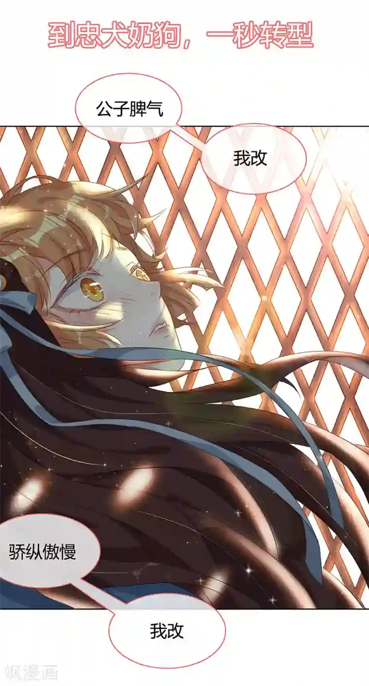 大内傲娇学生会预告