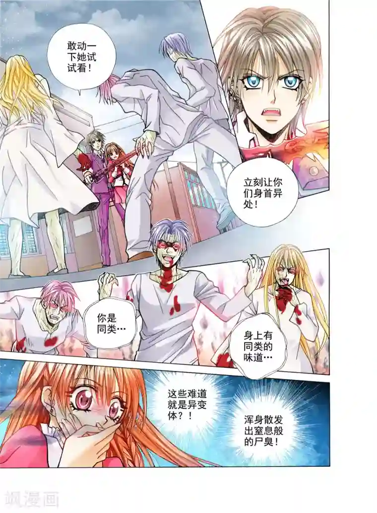 我的蔷薇骑士第5话