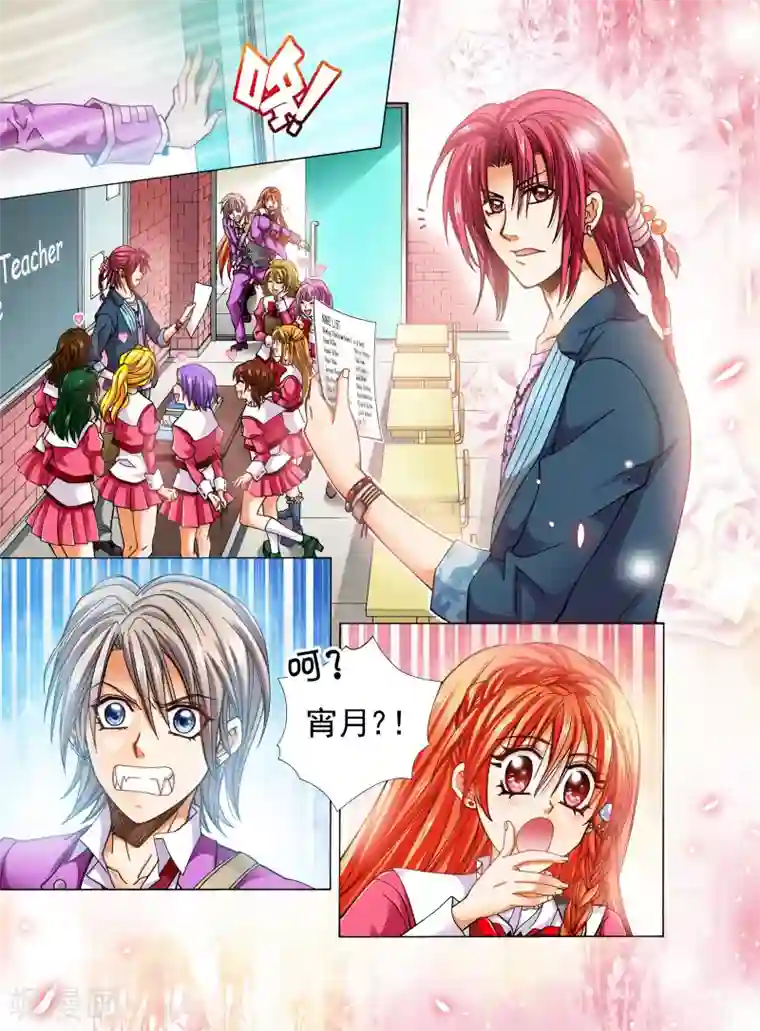 我的蔷薇骑士第8话