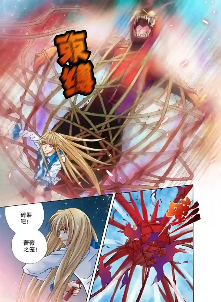 我的蔷薇骑士第17话