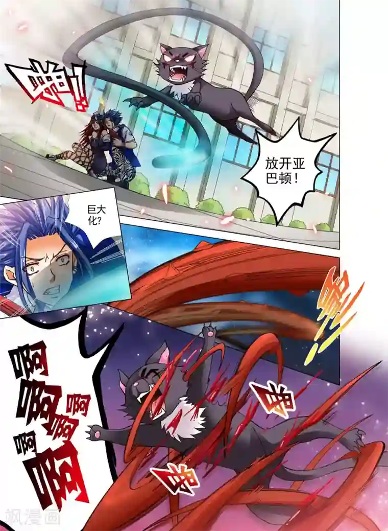 我的蔷薇骑士第一季最终话