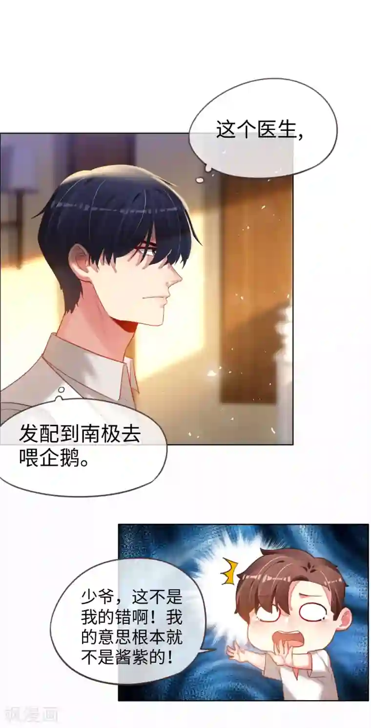 帝少，你老婆又跑了第72话 南极喂企鹅警告