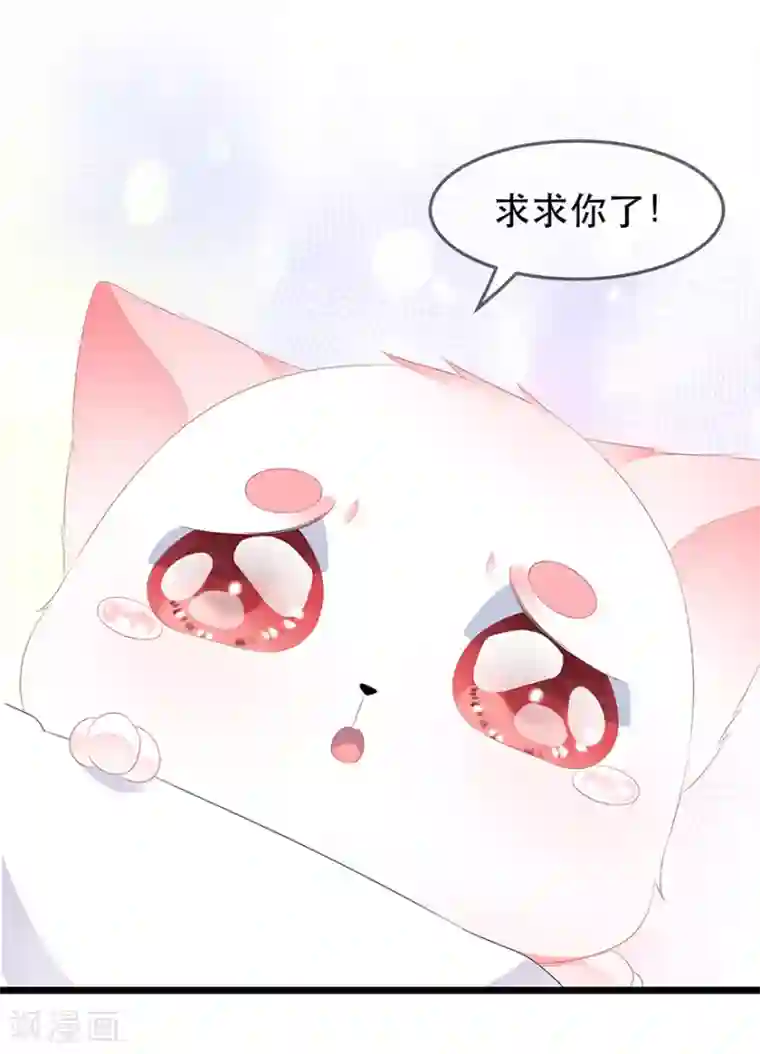 狐妃,别惹我第30话 渣男再现