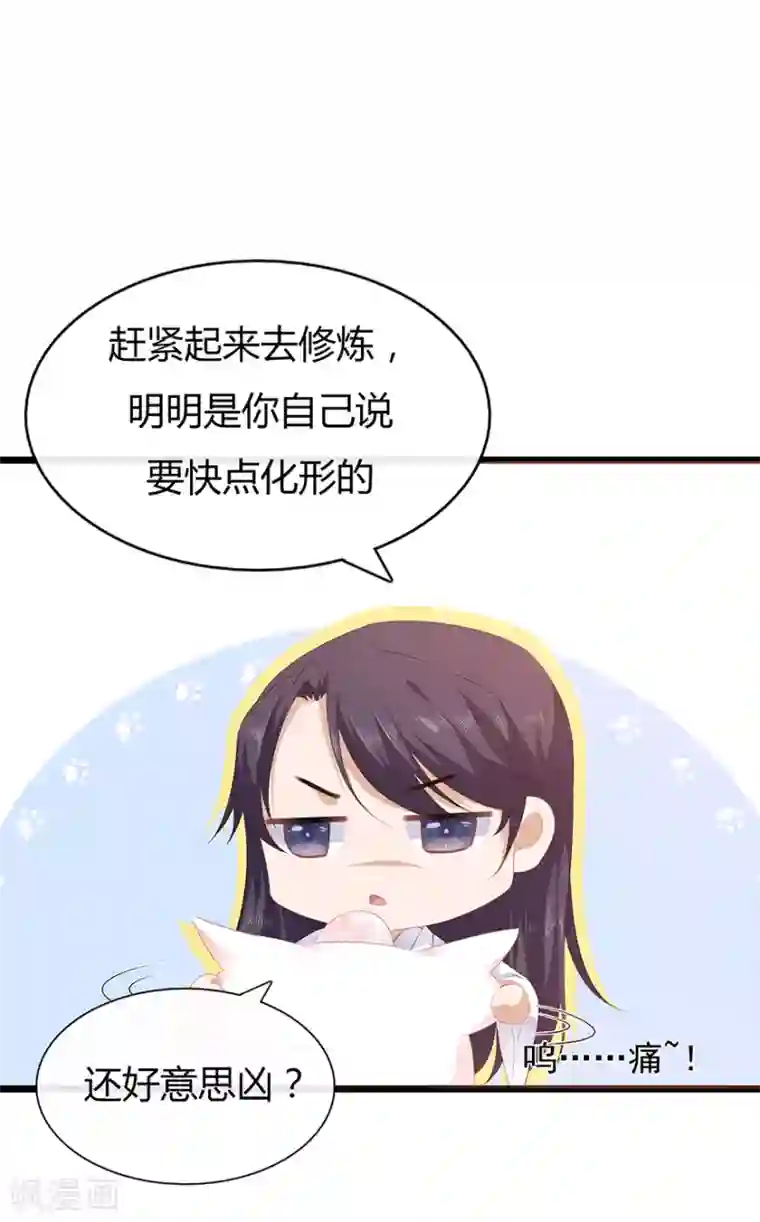 狐妃,别惹我第32话 一曲《灵狐灵》