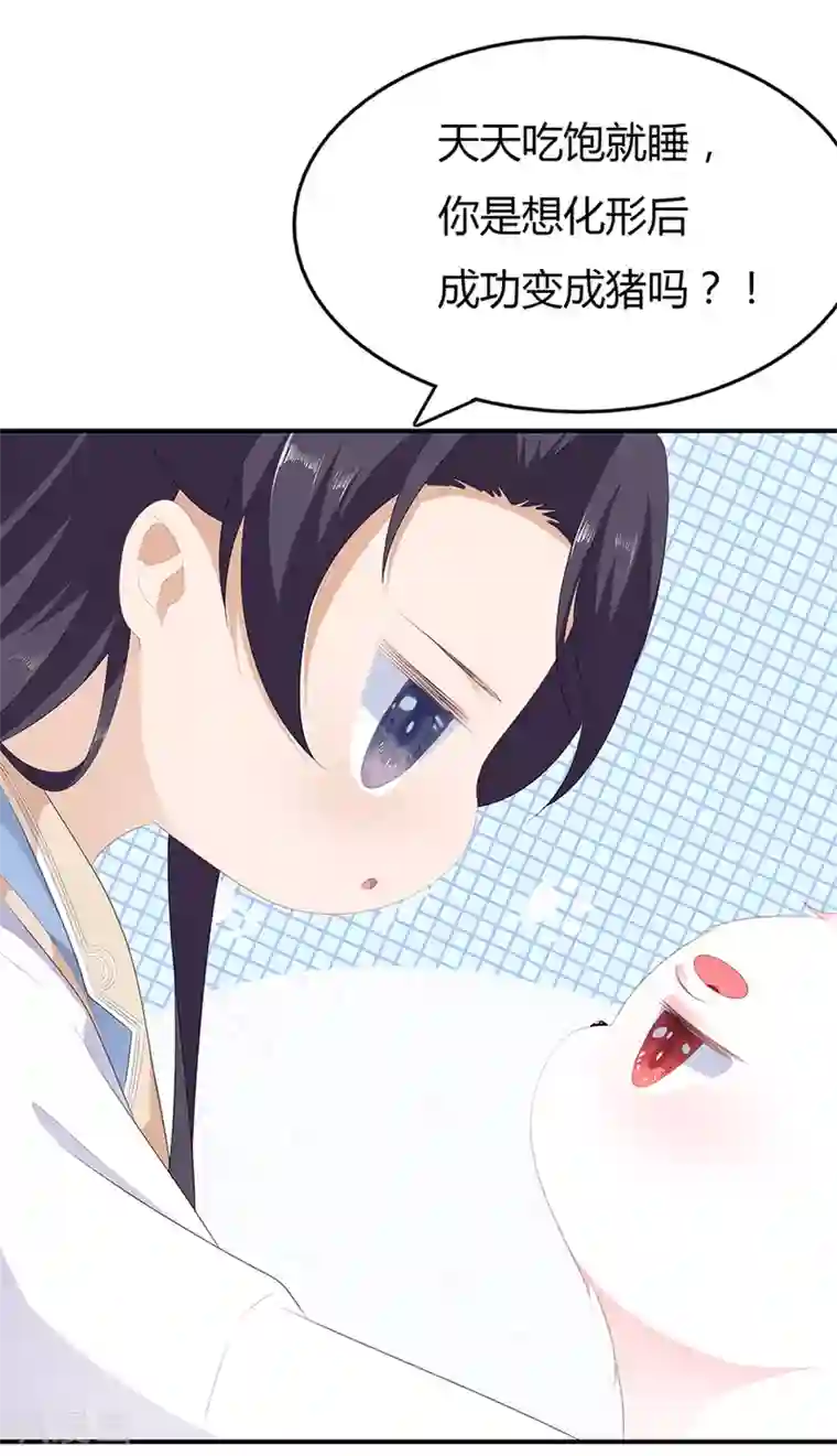 狐妃,别惹我第32话 一曲《灵狐灵》