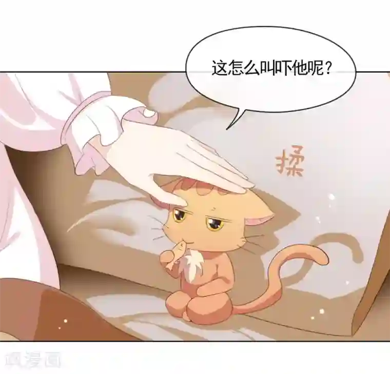 我与玛丽苏女主抢男友第60话 被表白了？