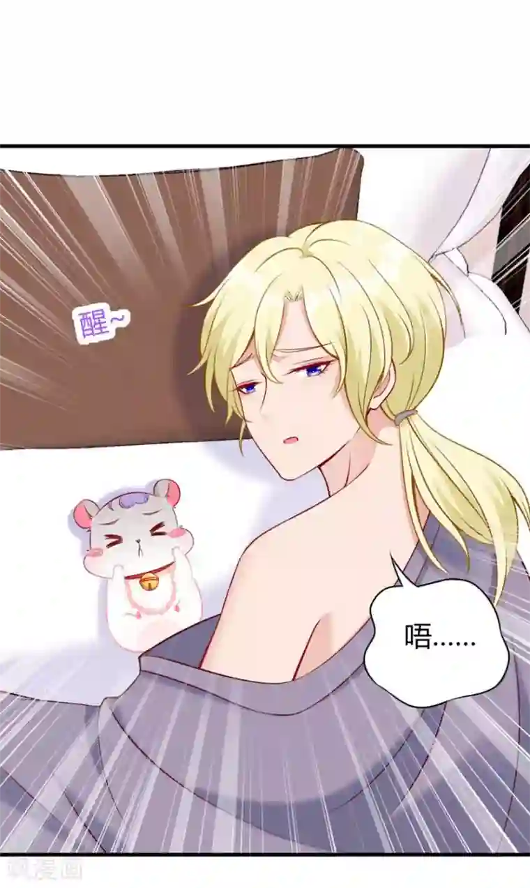 国民老公的小仓鼠第19话 闯入