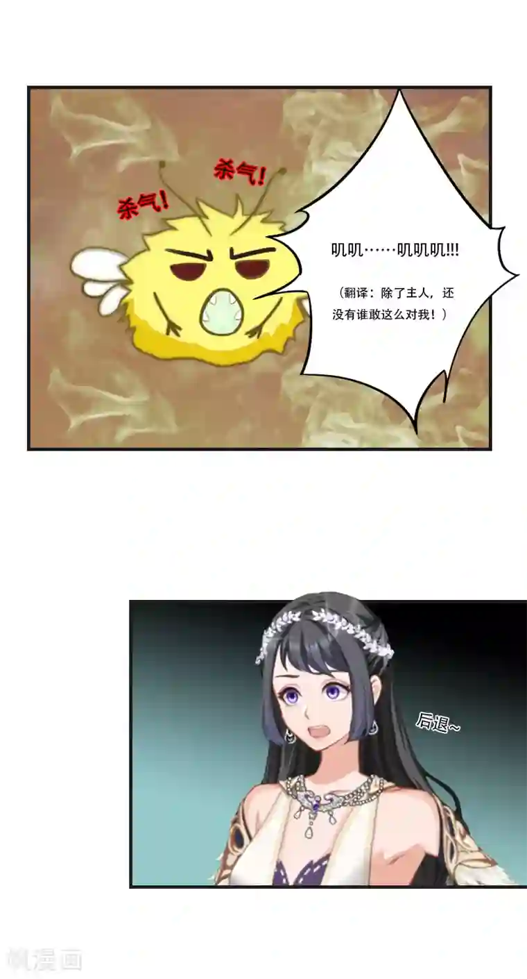 总裁的逆天狂妻第28话 眼镜蛇