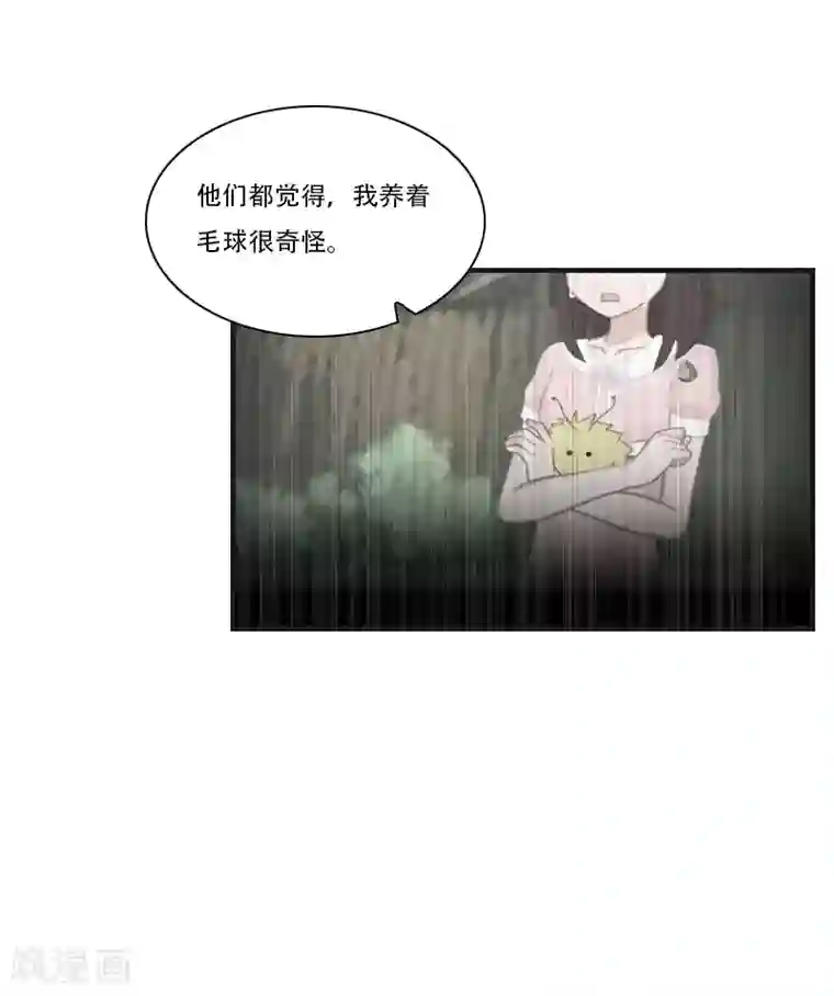 总裁的逆天狂妻第29话 出阵