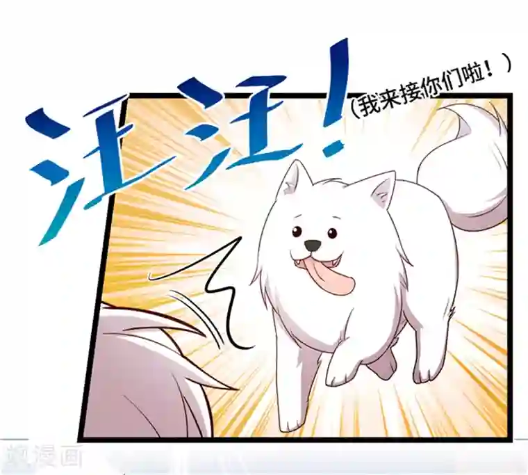 贺少的闪婚暖妻第233话 关门放狗