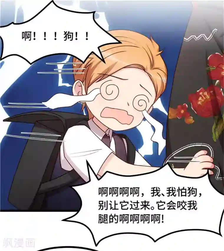 贺少的闪婚暖妻第233话 关门放狗