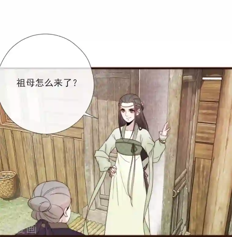 将军夫人的手术刀第3话 前世今生