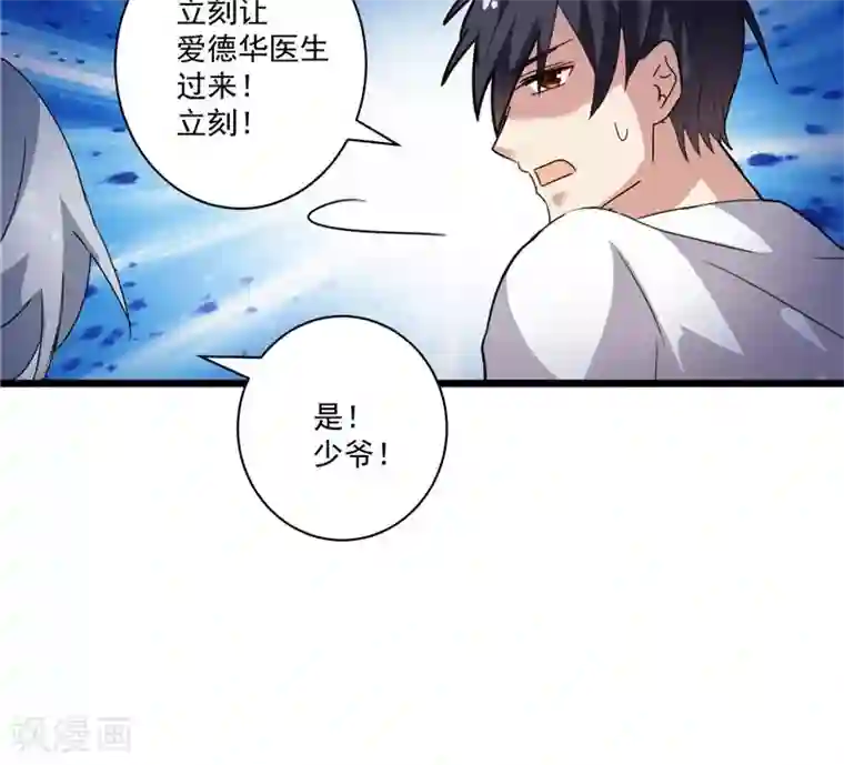 总裁的呆萌丫头第3话 初次见面