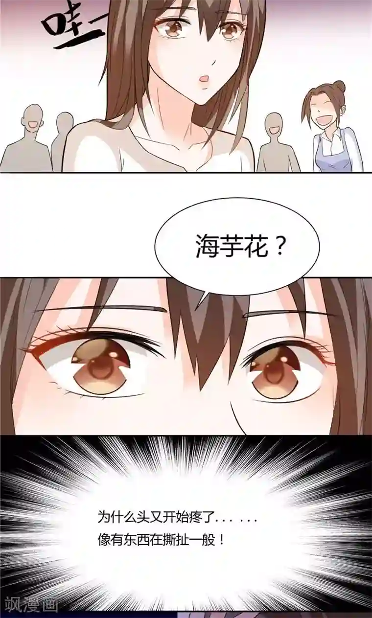 总裁的呆萌丫头第10话 海芋花