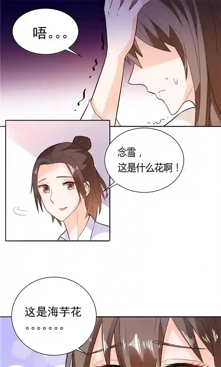 总裁的呆萌丫头第10话 海芋花