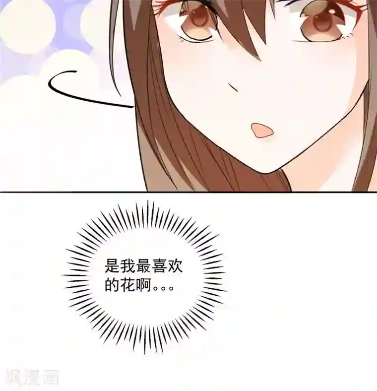 总裁的呆萌丫头第10话 海芋花