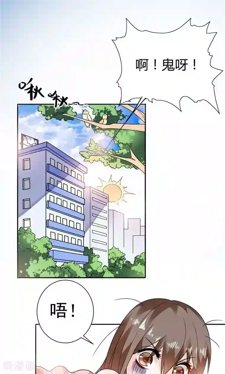 总裁的呆萌丫头第10话 海芋花