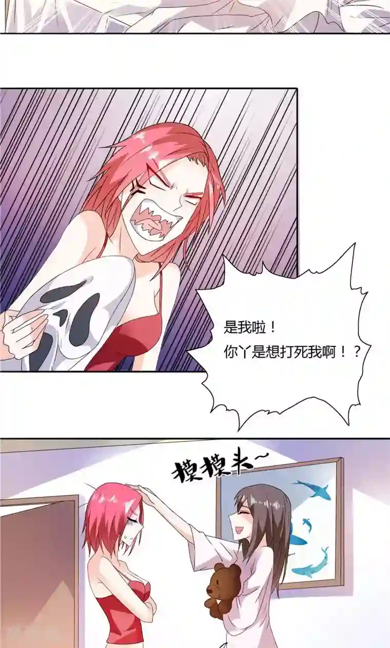 总裁的呆萌丫头第10话 海芋花