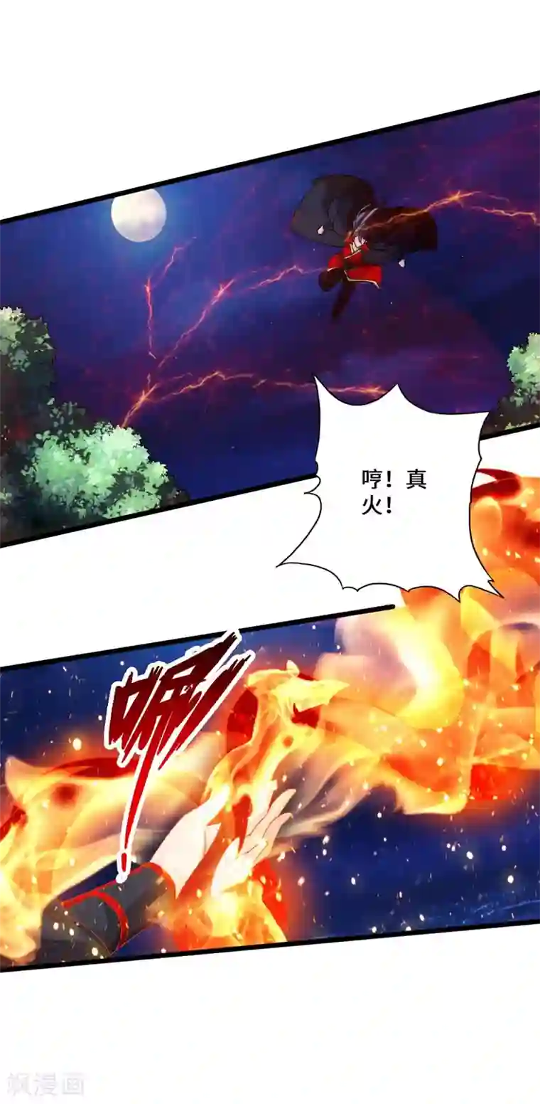 仙武帝尊第42话 打劫真阳境