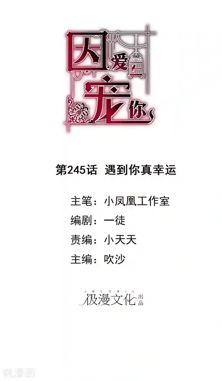 因爱宠你第245话