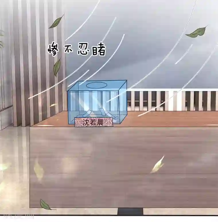 拒嫁豪门：霍总你家迷妹又飘了第155话 向他求助