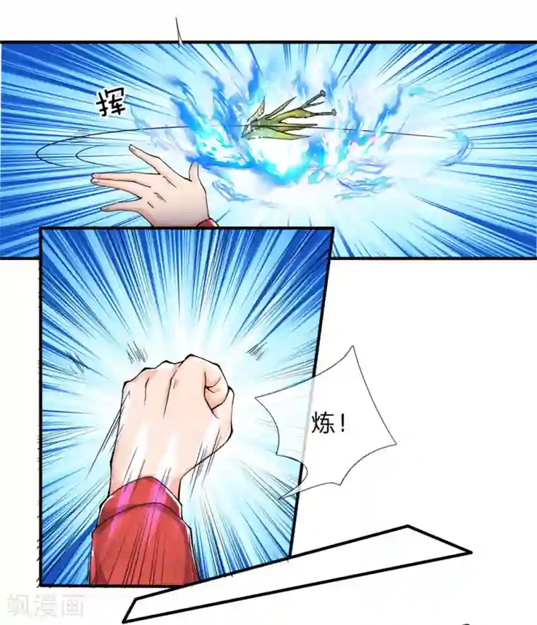 仙尊奶爸当赘婿第60话 随手一炼，上等灵丹