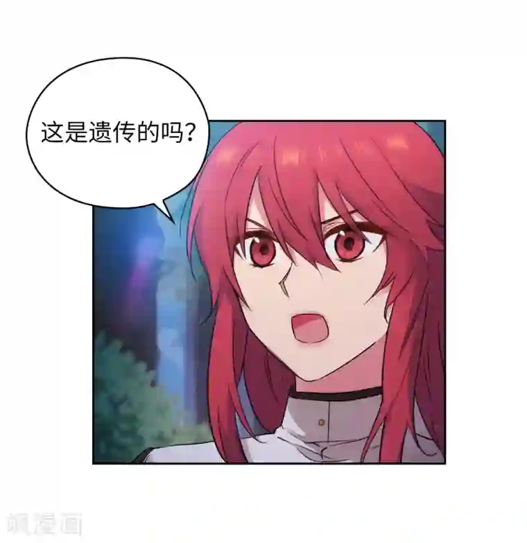 阿多尼斯第242话 你是我活着的目的