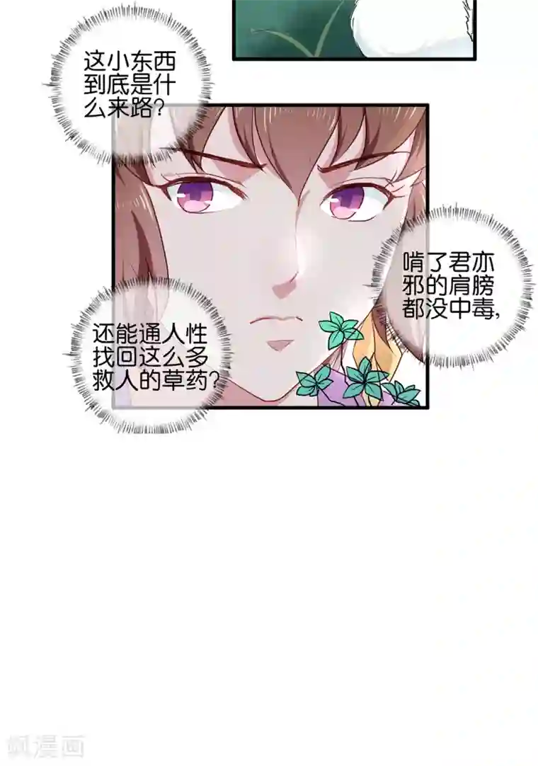 天才小毒妃之芸汐传奇第190话 搜捕秦王妃！