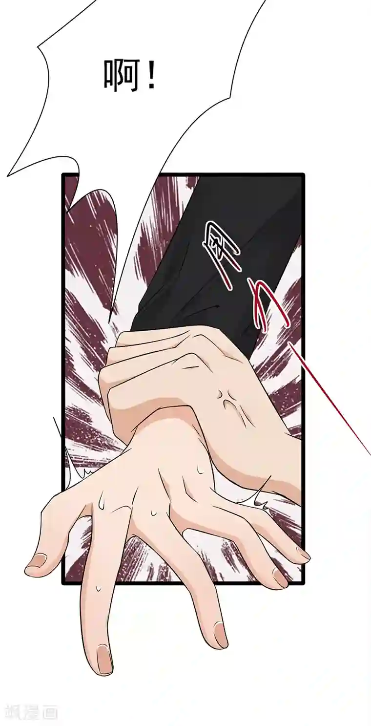 陆少的心尖宠第44话 神秘来宾陆夫人