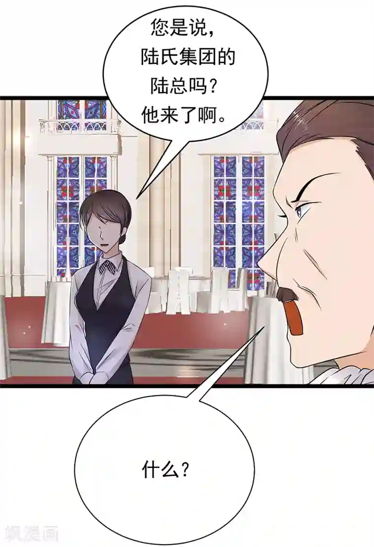 陆少的心尖宠第44话 神秘来宾陆夫人