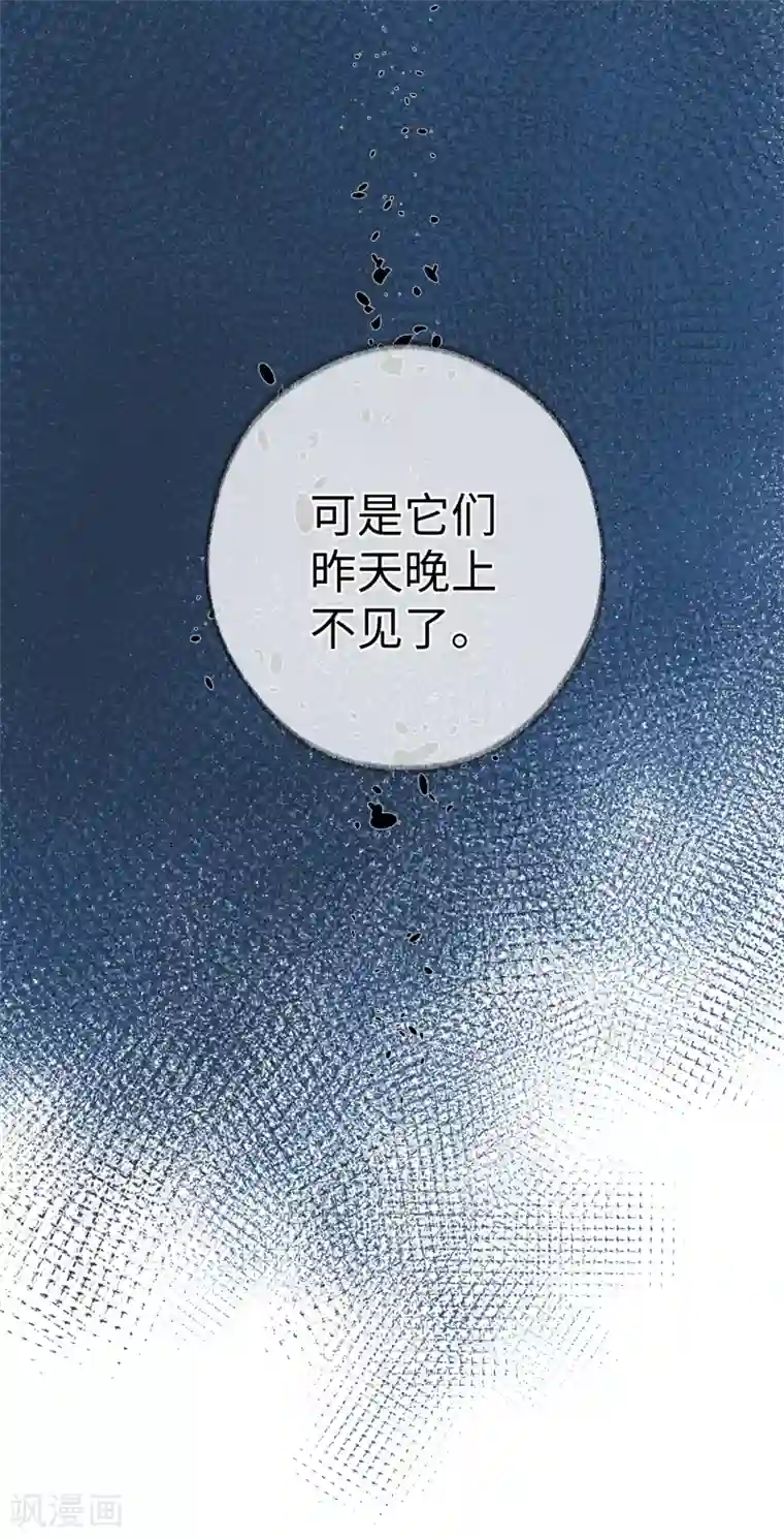 玫瑰陷阱第29话 我们什么关系也不是！