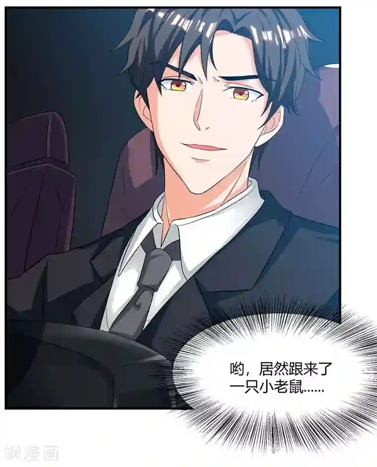 我的极品特工老婆第33话 跟来一只小老鼠