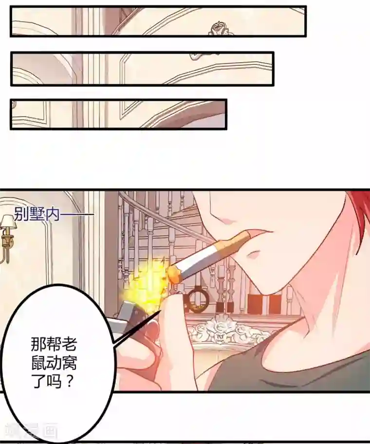 我的极品特工老婆第34话 擒鲨行动开始