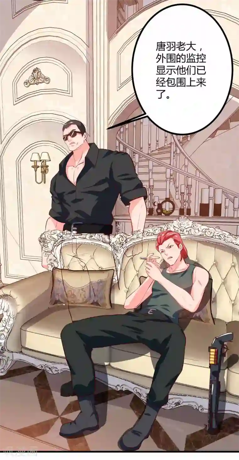 我的极品特工老婆第34话 擒鲨行动开始