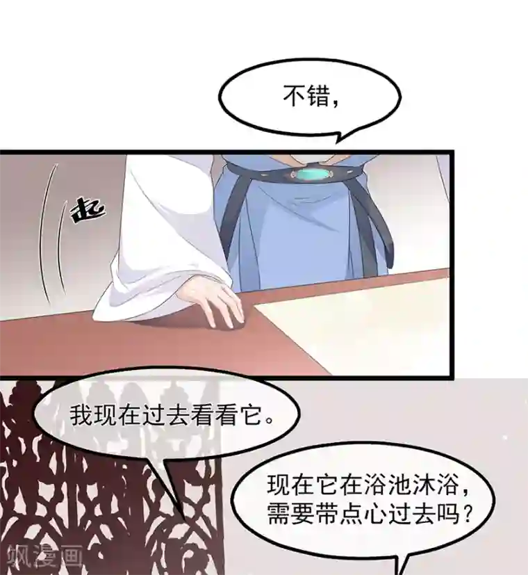 狐妃,别惹我第33话 你说我好不好看