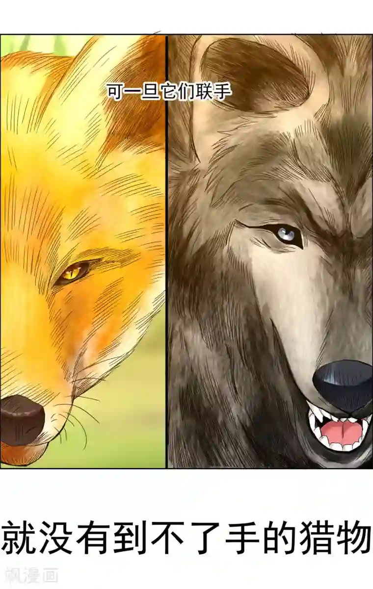 哥就是踢的远第210话 狐狸和狼的时间