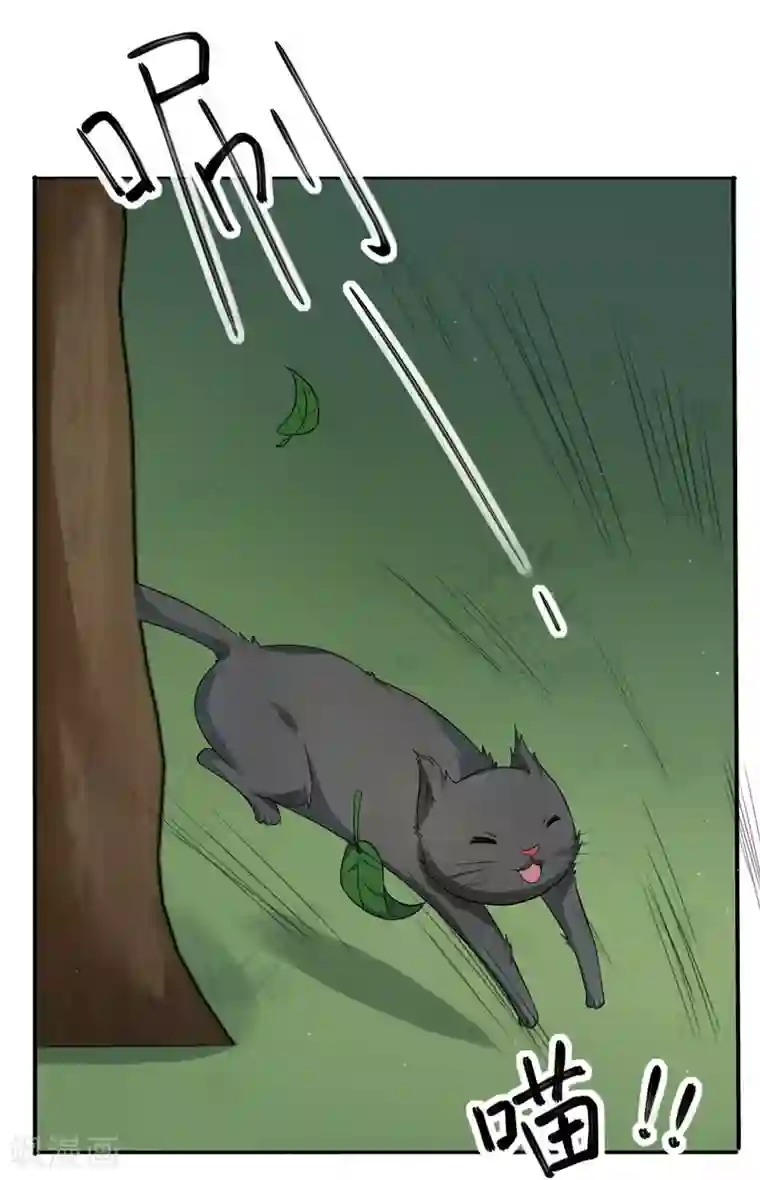 蝶影重重第37话 偷藏小情郎