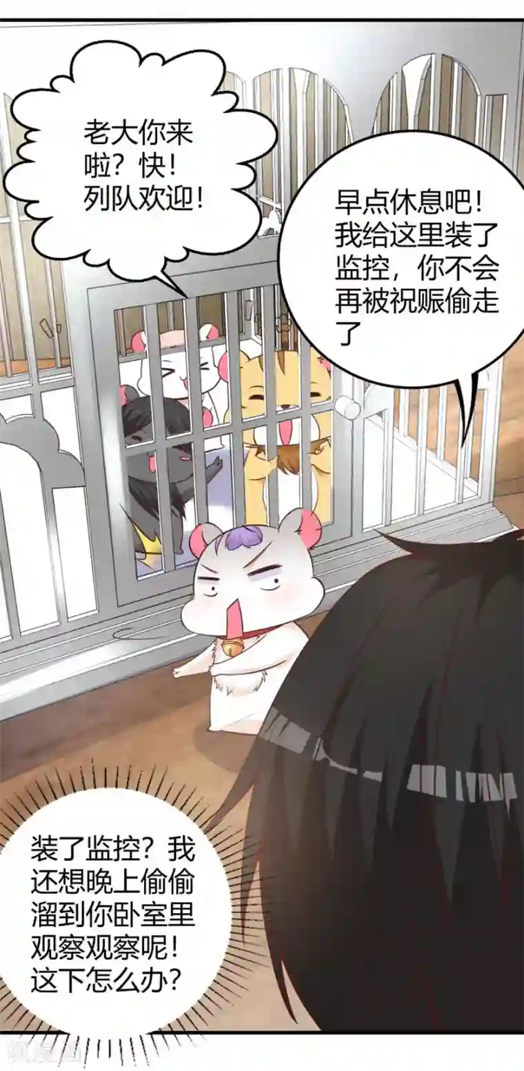 国民老公的小仓鼠第20话 见色忘鼠