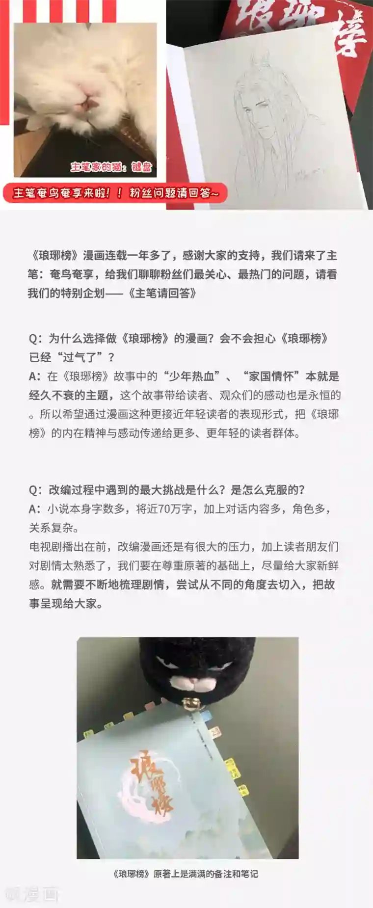 琅琊榜番外 主笔问答