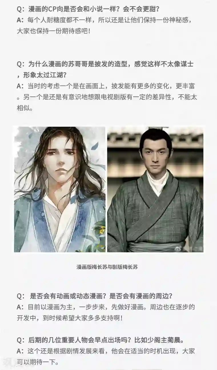 琅琊榜番外 主笔问答