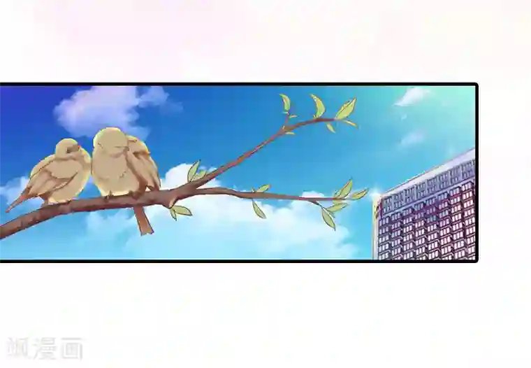 深情难料：总裁别放手第34话 求婚