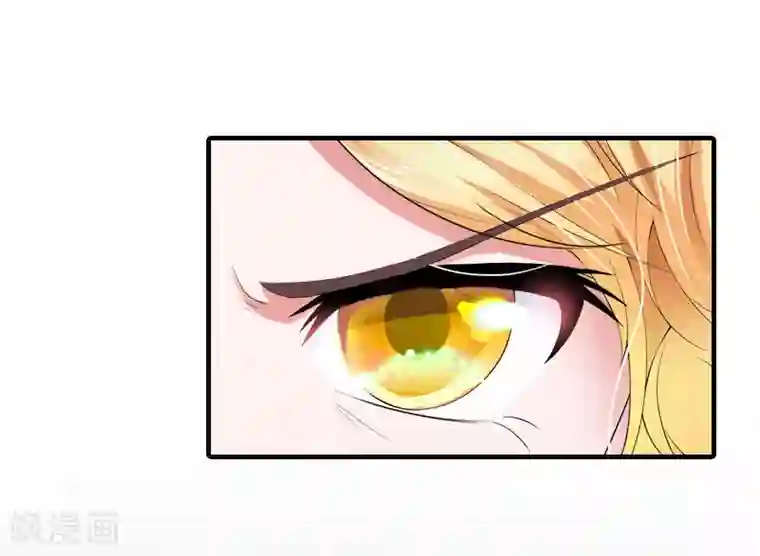 深情难料：总裁别放手第36话 幸福一辈子！