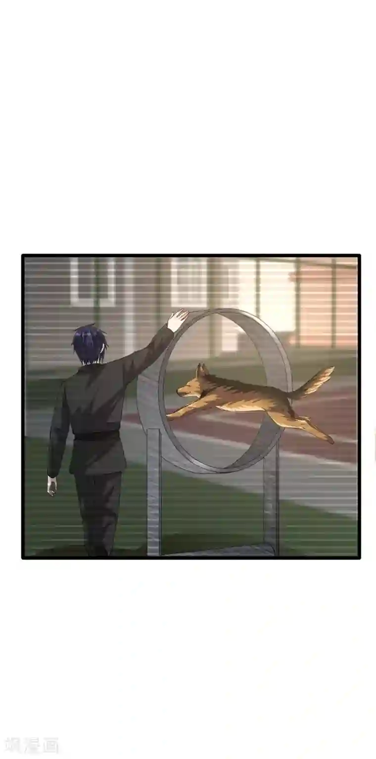 都市邪王第35话 真正的主人