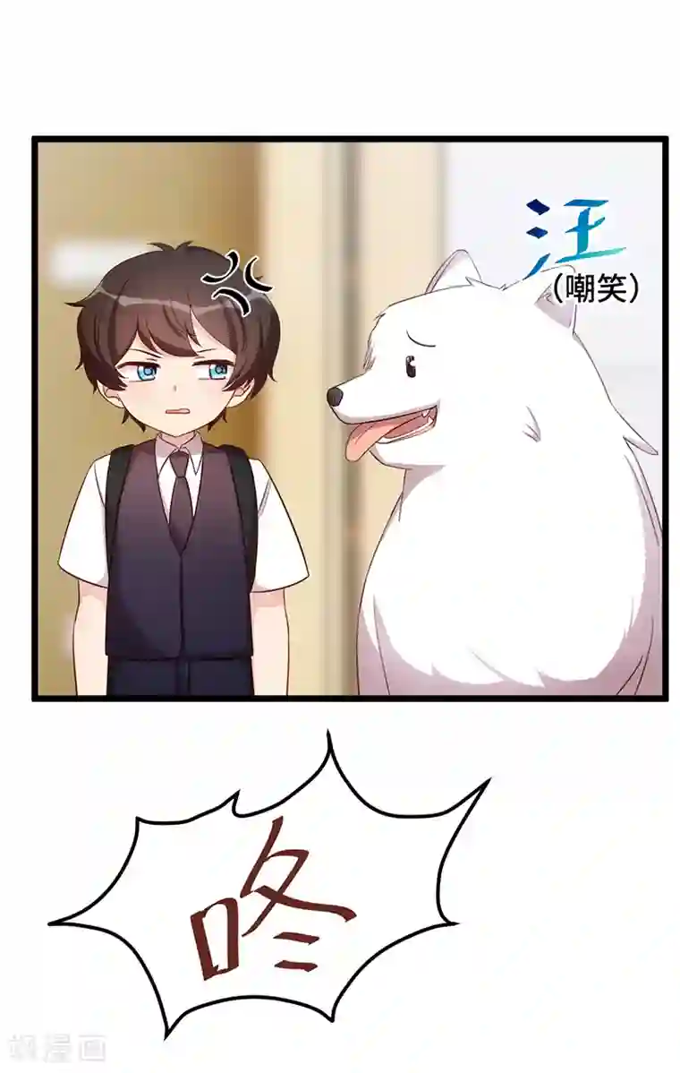 贺少的闪婚暖妻第234话 旺财的嘲讽