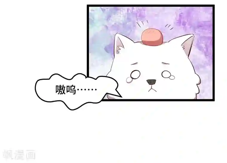 贺少的闪婚暖妻第234话 旺财的嘲讽