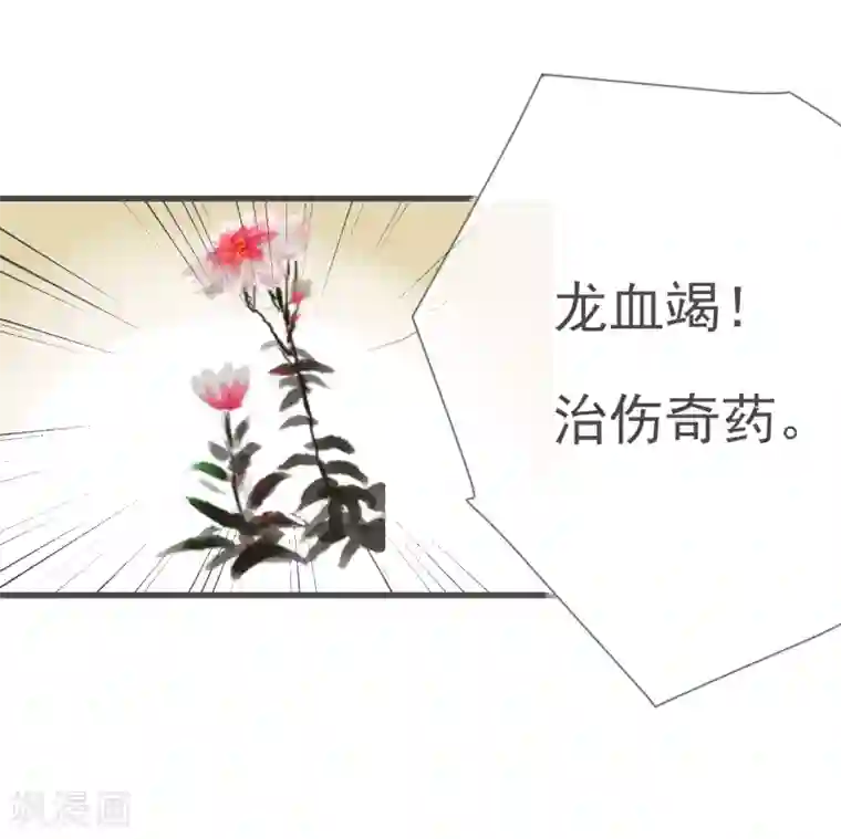 将军夫人的手术刀第6话 将军的誓言