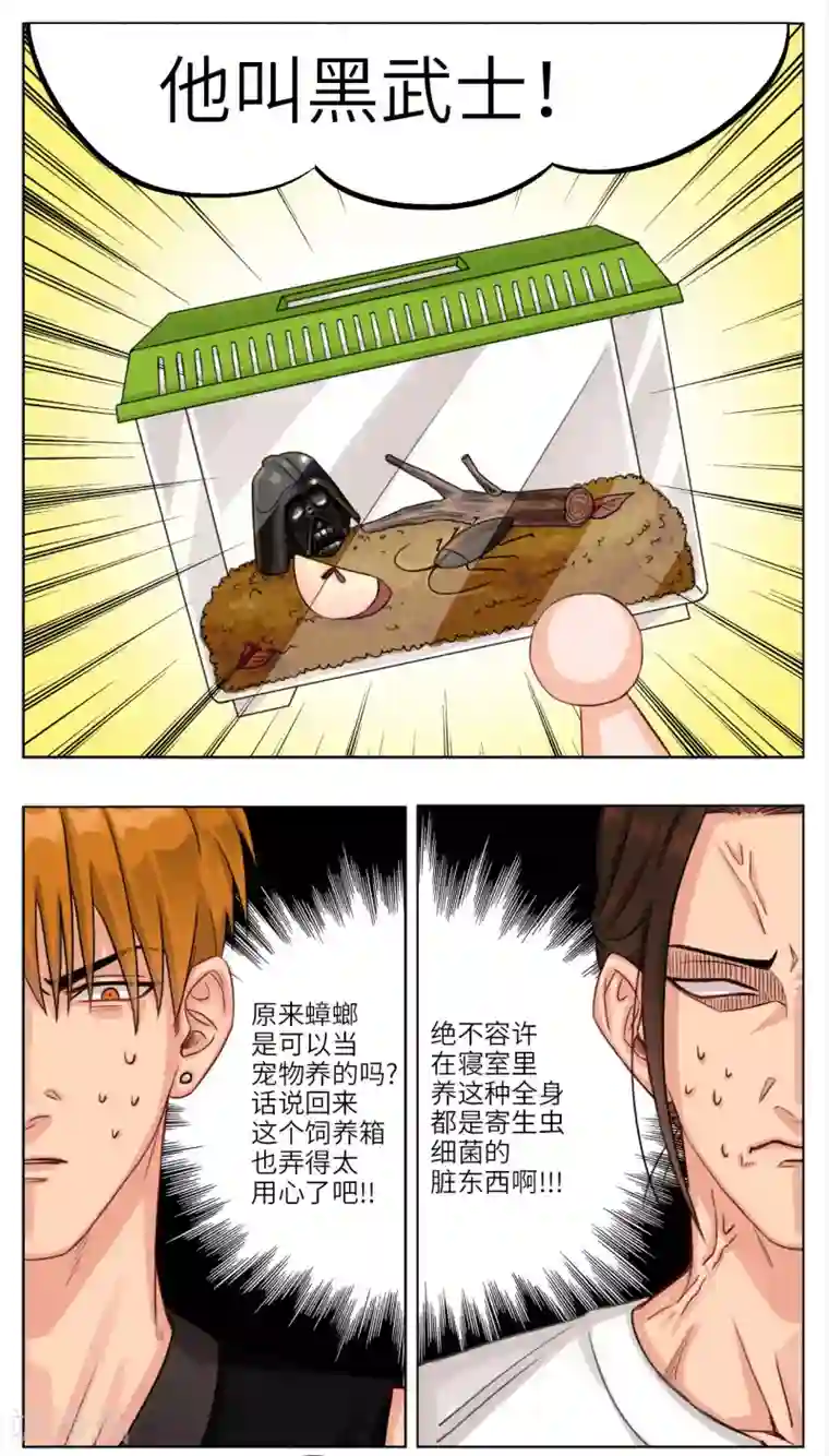 男生宿舍303第13话 宿舍宠物